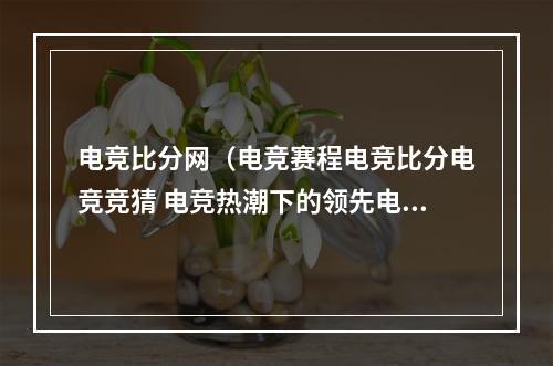 电竞比分网（电竞赛程电竞比分电竞竞猜 电竞热潮下的领先电竞社区）