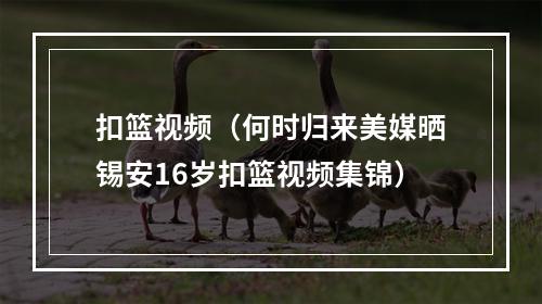 扣篮视频（何时归来美媒晒锡安16岁扣篮视频集锦）