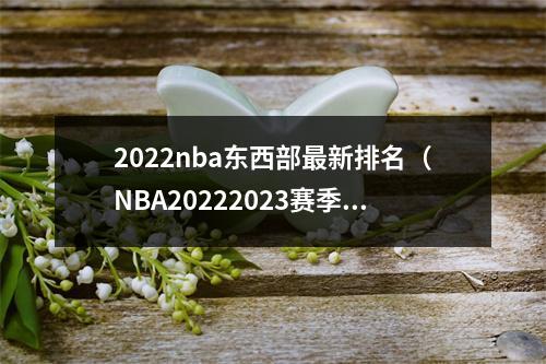 2022nba东西部最新排名（NBA20222023赛季东西部排名截止至20221213）