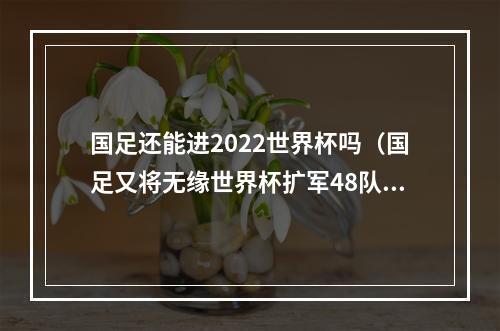 国足还能进2022世界杯吗（国足又将无缘世界杯扩军48队后）