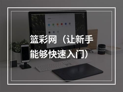 篮彩网（让新手能够快速入门）