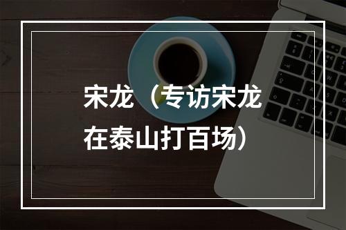 宋龙（专访宋龙在泰山打百场）