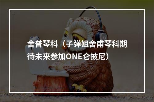 舍普琴科（子弹姐舍甫琴科期待未来参加ONE仑披尼）