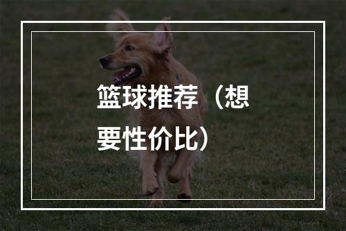 篮球推荐（想要性价比）