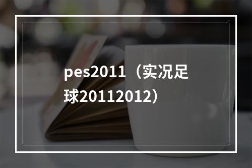 pes2011（实况足球20112012）