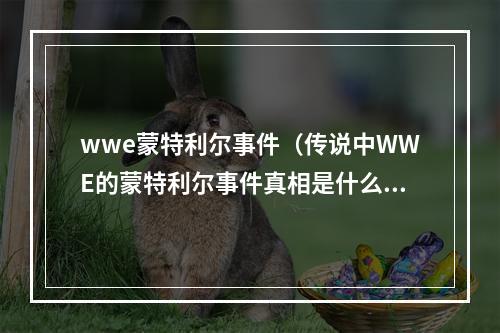 wwe蒙特利尔事件（传说中WWE的蒙特利尔事件真相是什么WWE差点因此而倒闭）