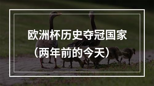 欧洲杯历史夺冠国家（两年前的今天）