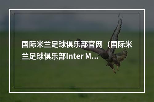 国际米兰足球俱乐部官网（国际米兰足球俱乐部Inter Milan向切尔西报价3000万欧元加奖金）