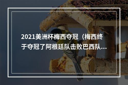 2021美洲杯梅西夺冠（梅西终于夺冠了阿根廷队击败巴西队夺得美洲杯冠军）