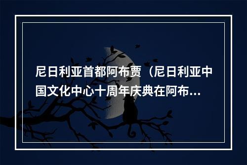 尼日利亚首都阿布贾（尼日利亚中国文化中心十周年庆典在阿布贾举办）