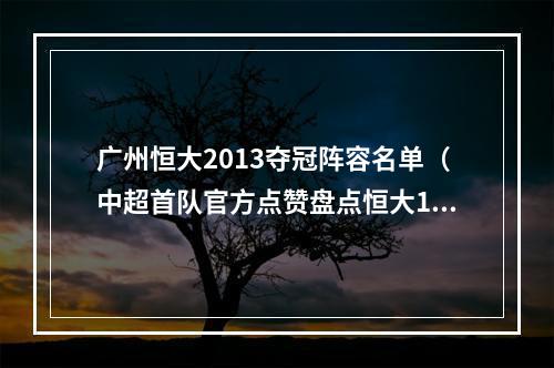 广州恒大2013夺冠阵容名单（中超首队官方点赞盘点恒大13赛季最强阵容 孙祥等人记得吗）