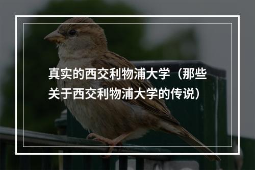真实的西交利物浦大学（那些关于西交利物浦大学的传说）