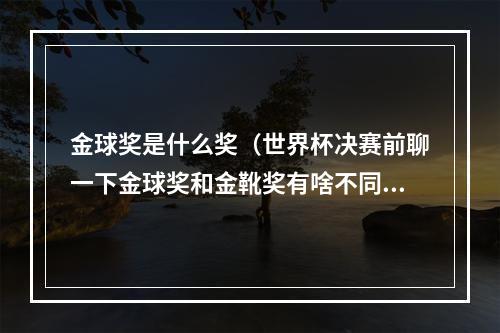 金球奖是什么奖（世界杯决赛前聊一下金球奖和金靴奖有啥不同）