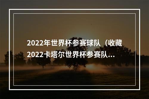2022年世界杯参赛球队（收藏2022卡塔尔世界杯参赛队伍完整排名出炉）