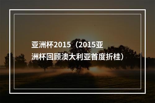 亚洲杯2015（2015亚洲杯回顾澳大利亚首度折桂）