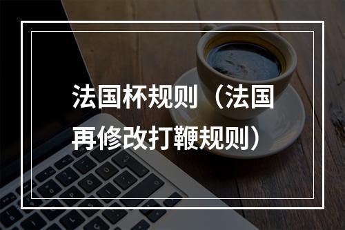 法国杯规则（法国再修改打鞭规则）