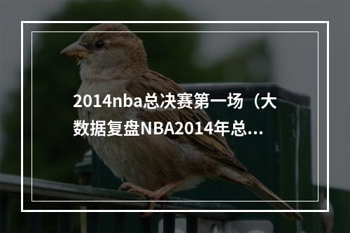 2014nba总决赛第一场（大数据复盘NBA2014年总决赛）