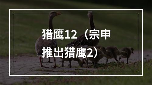猎鹰12（宗申推出猎鹰2）