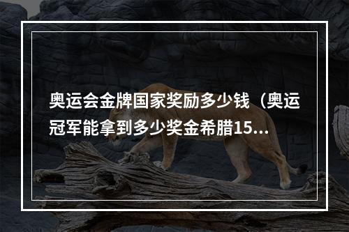 奥运会金牌国家奖励多少钱（奥运冠军能拿到多少奖金希腊150万）