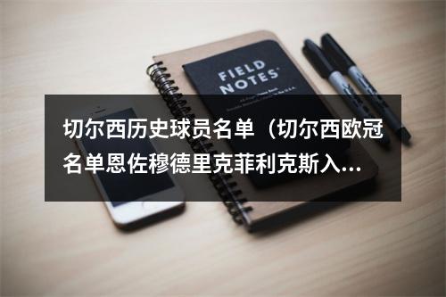 切尔西历史球员名单（切尔西欧冠名单恩佐穆德里克菲利克斯入选）