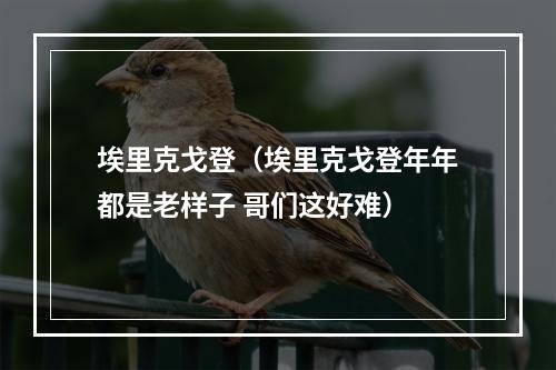 埃里克戈登（埃里克戈登年年都是老样子 哥们这好难）