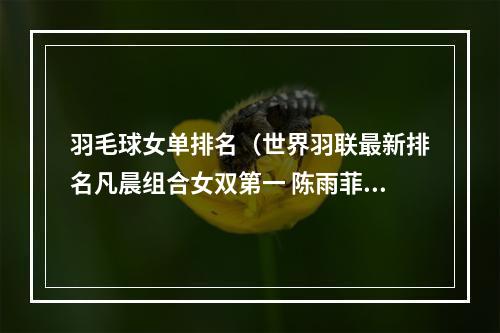 羽毛球女单排名（世界羽联最新排名凡晨组合女双第一 陈雨菲女单第三）