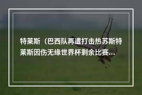 特莱斯（巴西队再遭打击热苏斯特莱斯因伤无缘世界杯剩余比赛）