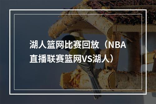 湖人篮网比赛回放（NBA直播联赛篮网VS湖人）