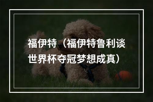 福伊特（福伊特鲁利谈世界杯夺冠梦想成真）