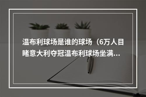 温布利球场是谁的球场（6万人目睹意大利夺冠温布利球场坐满场被质疑）