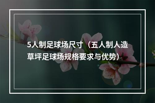 5人制足球场尺寸（五人制人造草坪足球场规格要求与优势）