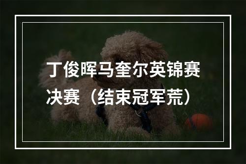 丁俊晖马奎尔英锦赛决赛（结束冠军荒）
