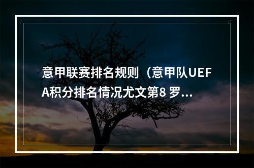 意甲联赛排名规则（意甲队UEFA积分排名情况尤文第8 罗马第10 国米第12 米兰第36）