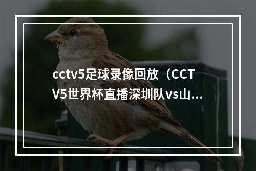 cctv5足球录像回放（CCTV5世界杯直播深圳队vs山东泰山中文比赛全程高清视频）