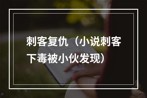 刺客复仇（小说刺客下毒被小伙发现）