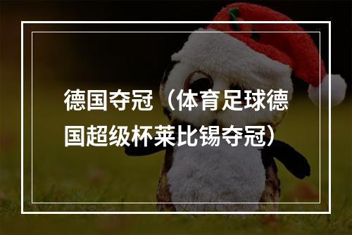 德国夺冠（体育足球德国超级杯莱比锡夺冠）