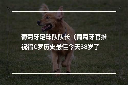 葡萄牙足球队队长（葡萄牙官推祝福C罗历史最佳今天38岁了