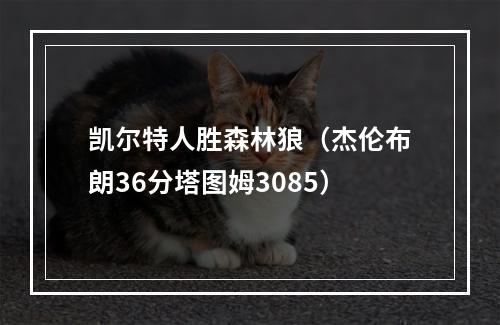 凯尔特人胜森林狼（杰伦布朗36分塔图姆3085）