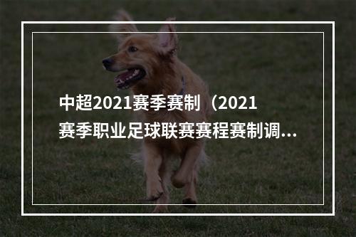 中超2021赛季赛制（2021赛季职业足球联赛赛程赛制调整 中超联赛共踢22轮）