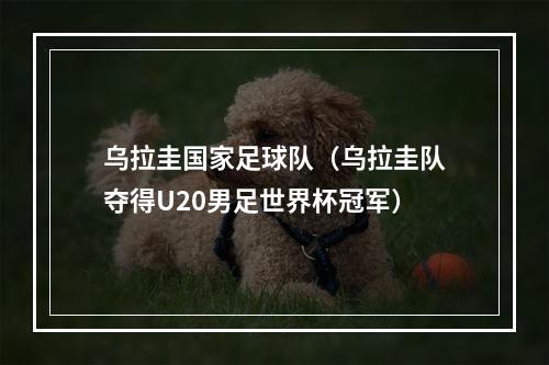 乌拉圭国家足球队（乌拉圭队夺得U20男足世界杯冠军）