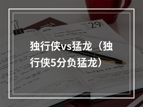 独行侠vs猛龙（独行侠5分负猛龙）
