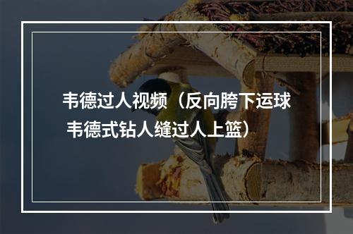 韦德过人视频（反向胯下运球 韦德式钻人缝过人上篮）
