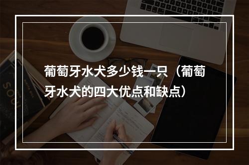 葡萄牙水犬多少钱一只（葡萄牙水犬的四大优点和缺点）