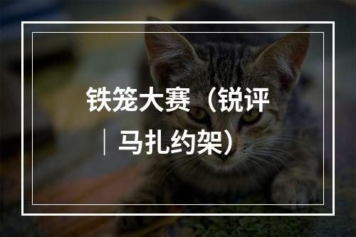 铁笼大赛（锐评 ｜马扎约架）
