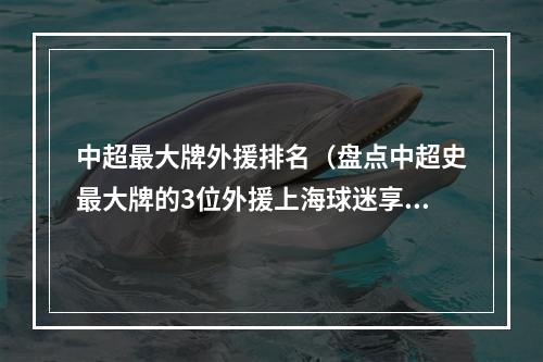 中超最大牌外援排名（盘点中超史最大牌的3位外援上海球迷享福了）