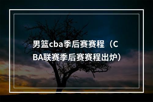 男篮cba季后赛赛程（CBA联赛季后赛赛程出炉）