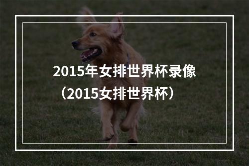 2015年女排世界杯录像（2015女排世界杯）