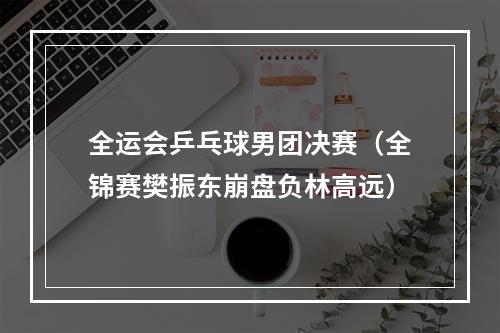 全运会乒乓球男团决赛（全锦赛樊振东崩盘负林高远）