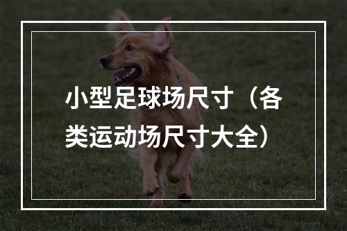 小型足球场尺寸（各类运动场尺寸大全）