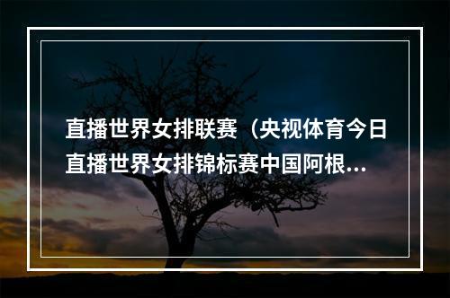 直播世界女排联赛（央视体育今日直播世界女排锦标赛中国阿根廷）